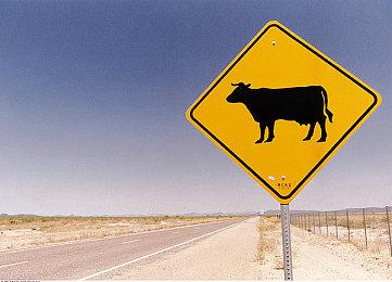 第三人称徒步模拟冒险游戏《精灵交涉人》现已在Steam平台正式推出